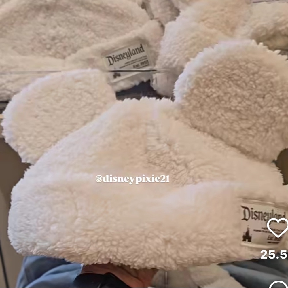 Disneyland Sherpa beanie hat